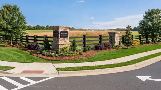 Silo Pointe by Smith Douglas Homes in Cartersville - image