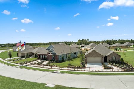 Imperial Forest by KB Home in Alvin - photo 0