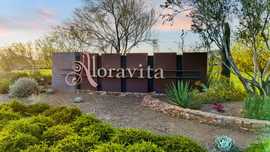 Aloravita by D.R. Horton in Peoria - photo 4 4