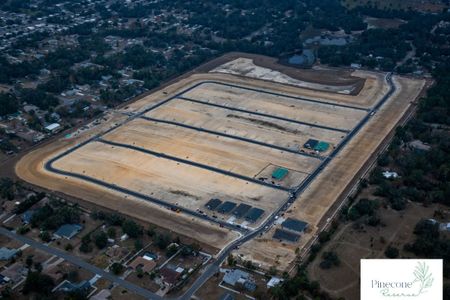 Pinecone Reserve by William Ryan Homes in Brooksville - photo 14 14