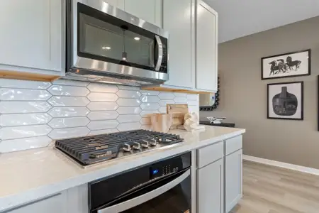 Creekhaven by Coventry Homes in Rosharon - image 4