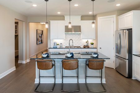 Horizon Lake 45s by Taylor Morrison in Leander - photo 5 5