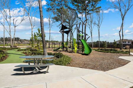 Pinewood at Grand Texas by M/I Homes in New Caney - photo 37 37