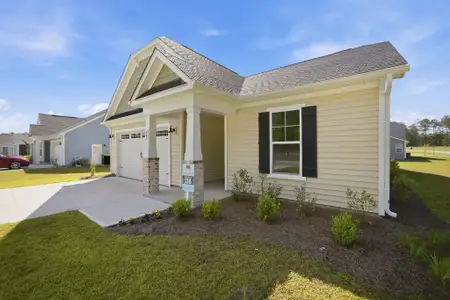 Goose Marsh by Chesapeake Homes in Bolivia - image 3