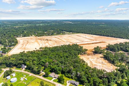 Indian Springs by M/I Homes in Crosby - photo 3 3