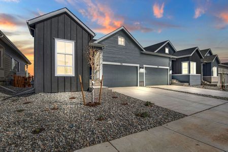 Westside Crossing Paired Homes by Tri Pointe Homes in Berthoud - photo 0