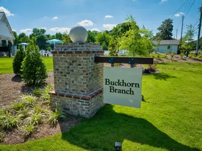 Buckhorn Branch by Mungo Homes in Clayton - photo 4 4