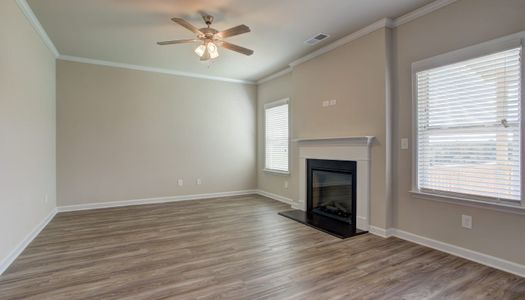 Clark Estates East by Stephen Elliott Homes in Ellenwood - photo 15 15