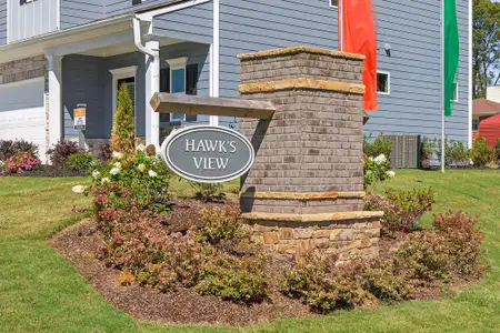 Hawks View by Smith Douglas Homes in Ringgold - image