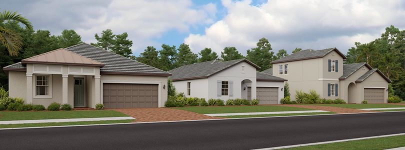 Prosperity Lakes Active Adult: Active Adult Manors by Lennar in Parrish - photo 0