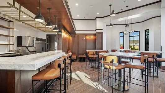 Sierra Vista by Terrata Homes in Iowa Colony - image 6