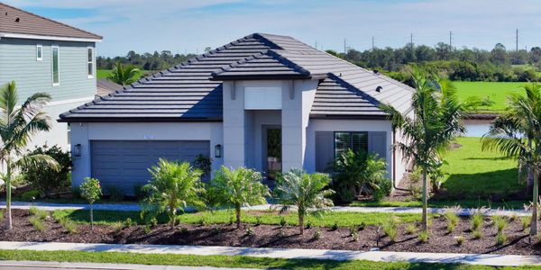 Palm Grove by Neal Communities in Lakewood Ranch - image 9
