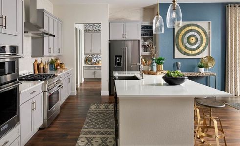 Montaine by Brightland Homes in Castle Rock - photo 5 5