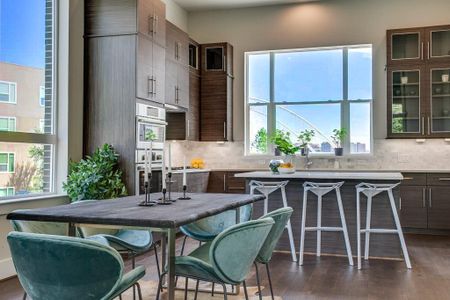 Trinity Bluff by InTown Homes in Dallas - photo 52 52