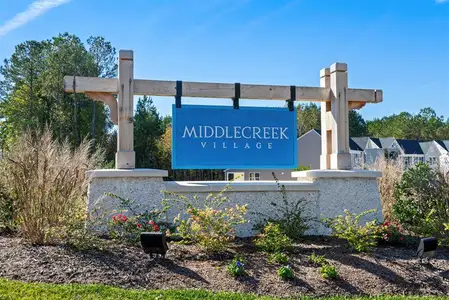 Middle Creek Village Ranches by Ryan Homes in Bolivia - image