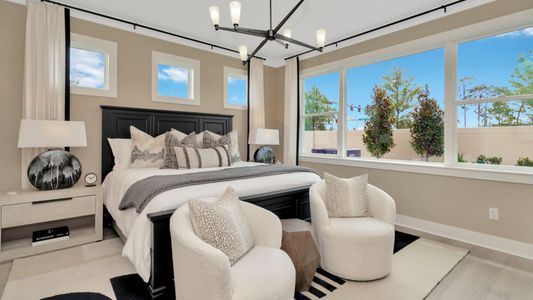 Primrose at Longleaf by DRB Homes in New Port Richey - image 11