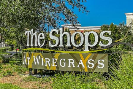 Acacia Fields by Lennar in Wesley Chapel - image