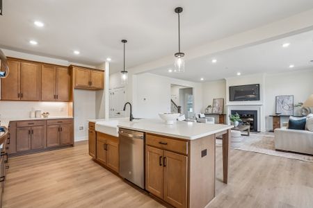 Lancaster Hwy by Caruso Homes in Waxhaw - image 15