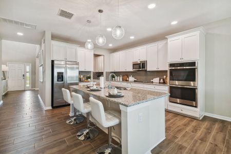 Hawthorne Ranch by M/I Homes in Lakeland - photo 31 31