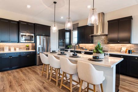Orchard at Madera by Tri Pointe Homes in Queen Creek - photo 14 14