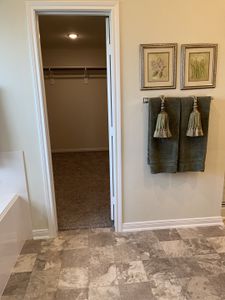 Pedregal by Cervelle Homes in Friendswood - image 7