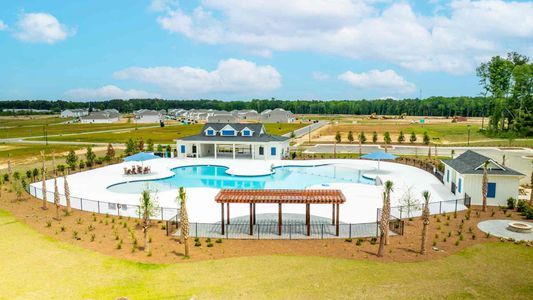 Carolina Groves Townhomes by D.R. Horton in Moncks Corner - photo 10 10