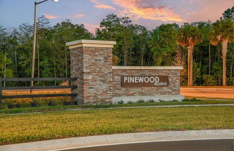 Pinewood Reserve by Pulte Homes in Orlando - photo 0