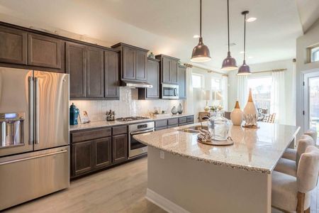 Sunfield by Chesmar Homes in Buda - photo 17 17