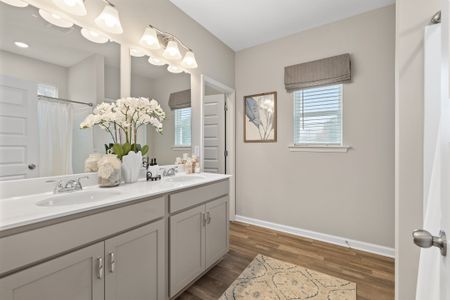 The Andros by Smith Douglas Homes in Dalton - image 11