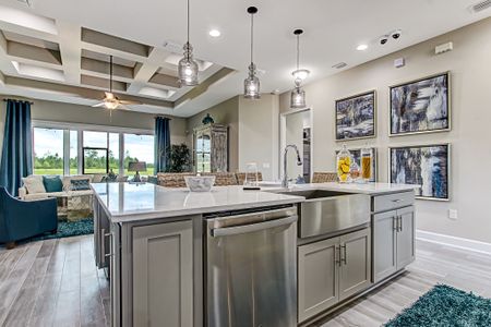 Sandy Creek by SEDA New Homes in Saint Augustine - photo 43 43