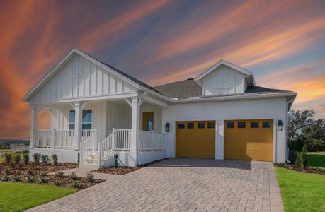 Vintner Reserve by Beazer Homes in Clermont - photo 4 4