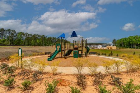 Spring Grove by M/I Homes in Huntersville - image 4