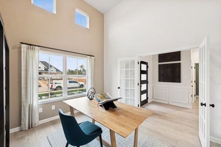 Audubon 50's by Smith Douglas Homes in Magnolia - image 5