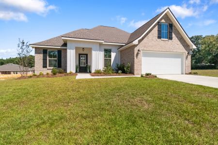 Young Oaks by DSLD Homes in Crestview - image