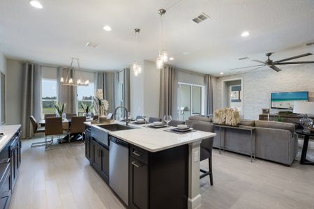 Palms at Windermere by Dream Finders Homes in Windermere - photo 13 13