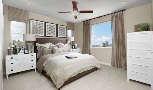 Urban Collection at Looking Glass by Richmond American Homes in Parker - photo 24 24