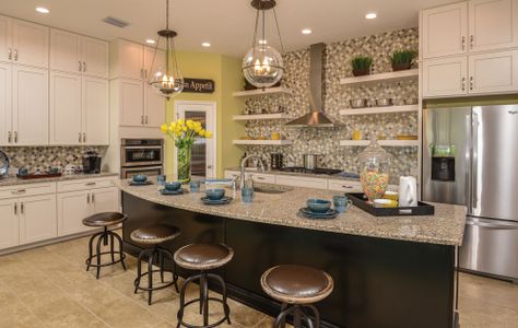 Waterset Cottage Series by David Weekley Homes in Apollo Beach - photo 43 43