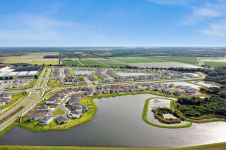 Berry Bay by M/I Homes in Wimauma - photo 2 2