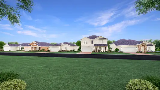 Tara Forest East by Lennar in Alachua - image