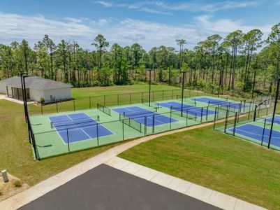 Crescent and Symphony at Hammock Bay by DSLD Homes in Freeport - image 6