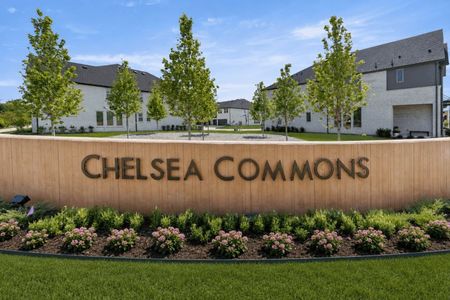 Chelsea Commons by Cadence Homes in Allen - image 13