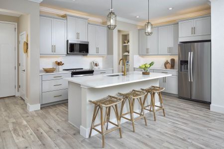 Citron Grove by Mattamy Homes in Odessa - photo 5 5