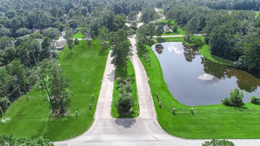 Villages Of Heritage Point by DH Homes in Magnolia - photo 19 19