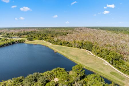 Toscana Village at Verona by KB Home in Titusville - photo 7 7