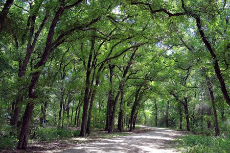 Preserve at Culebra - Heritage Collection by KB Home in San Antonio - photo 5 5