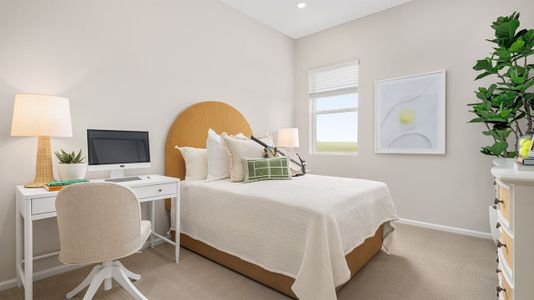 The Estates Collection at Talon Pointe 8