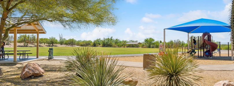 Sycamore Canyon: Destiny 15