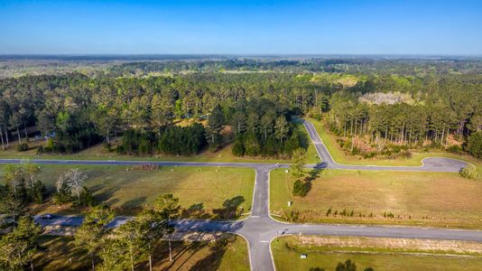 Northshore by Maronda Homes in Kingsland - photo 0