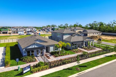 Hilltop Point by M/I Homes in Dade City - photo 11 11