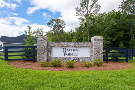 Hayden Pointe by Smith Family Homes in St. Marys - photo 0